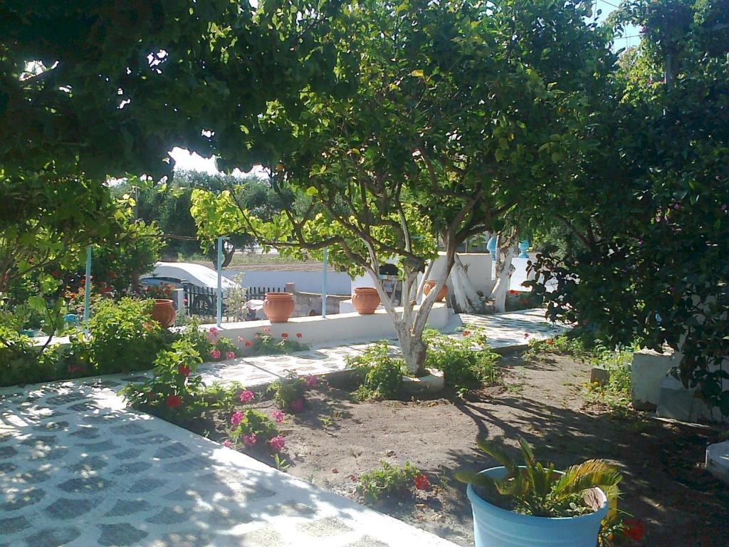 Dionysia Studios Kéfalos Exteriör bild